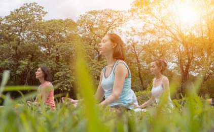 Meditation, Breathwork and Pranayama