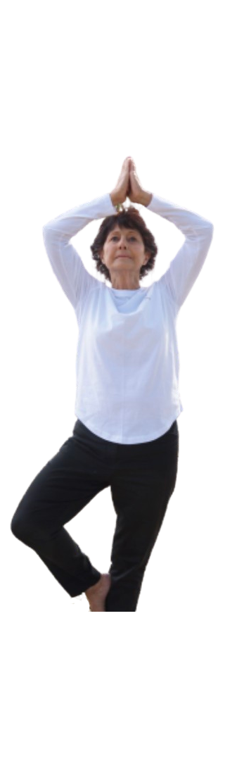 yoga_health_retreats_nsw yoga health retreats nsw