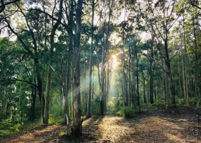 yoga retreats nsw